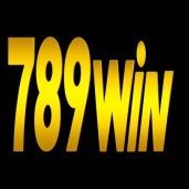 789wincomnetwork01